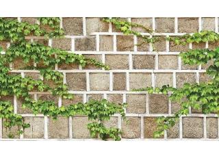 Фото - Обои Shinhan Natural  - 554974>