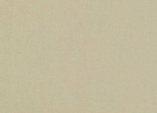 Фото - Ткани Clarke&Clarke Lazio - 525699>