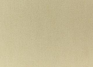 Фото - Ткани Foresti Home Collection Velluto Mohair - 563575>