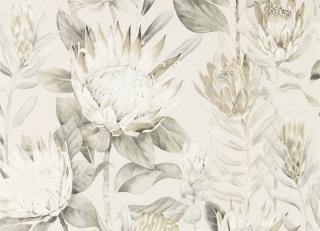 Фото - Обои Sanderson Glasshouse - 410796>