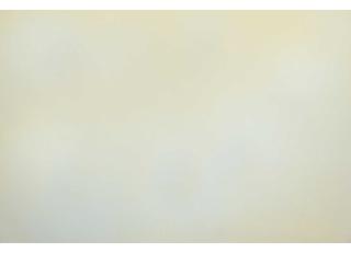 Фото - Ткани Casal Gibson - 446152>