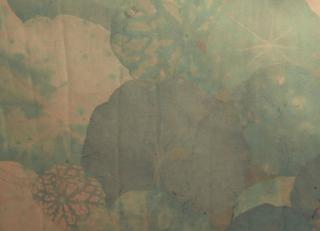 Фото - Обои Nobilis Stenope - 398181>