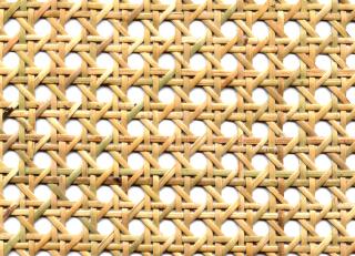 Фото - Ткани CMO Paris Palm Tree - 551130>