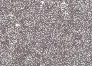 Фото - Обои Tres Tintas Wall A Porter - 198199>