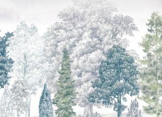 Фото - Обои Loymina Пейзаж 2 - 609818>