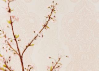 Фото - Обои Eijffinger Salisbury - 239420>