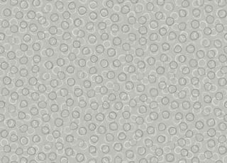 Фото - Обои Khroma Ombra - 466882>