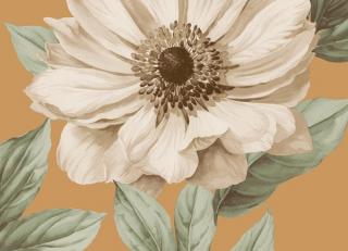 Фото - Обои Seabrook Lanai - 217672>