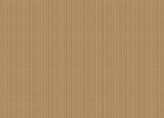 Фото - Обои Manifattura Di Tizzana Collezione 06 - 209628>