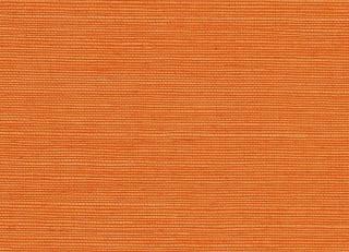 Фото - Обои Schumacher Natural Accents - 488114>