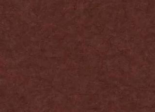 Фото - Обои Carl Robinson Edition 17 - 557856>