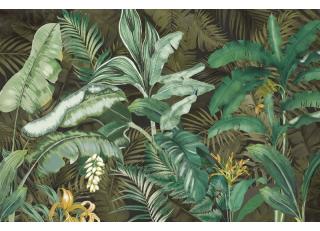 Фото - Обои Ortograf Oasis - 477195>