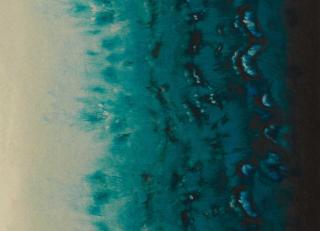 Фото - Обои Clarke&Clarke Fusion Wallpaper - 554227>