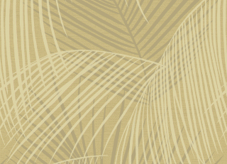 Фото - Обои Collins & Company Deco - 213414>