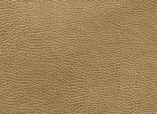 Фото - Ткани Designers Guild Kalahari - 261391>