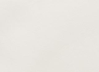 Фото - Аксессуары Holly Hunt Кожа Smooth - 589338>