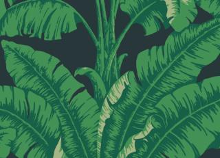 Фото - Обои Nobilis Cosmopolitan 3 - 409842>