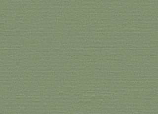 Фото - Обои Omexco Birds of Paradise - 611767>