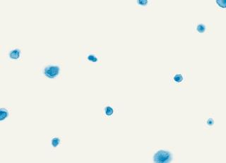 Фото - Обои Sandberg Skog - 244801>