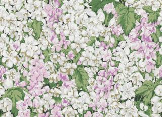 Фото - Обои Pierre Frey Veranda - 516283>