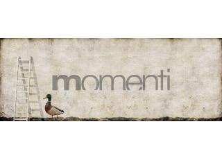 Фото - Обои Momenti Animal Collection - 317649>