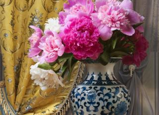 Фото - Ткани KT Exclusive Contemporary plains - 431532>