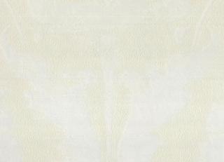 Фото - Обои Italreflexes Timeless - 517102>