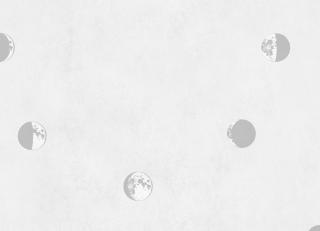 Фото - Обои Coordonne Instant - 580750>