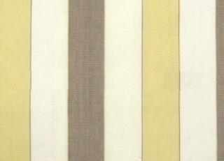 Фото - Ткани Prestigious Textiles Flower Show - 273610>