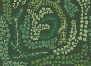 Фото - Обои Harlequin Colour 4 Wallpapers - 566909>