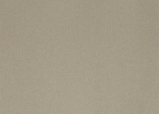 Фото - Ткани Foresti Home Collection Taffetas Boston - 569719>