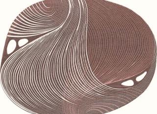 Фото - Ковры Tapis Rouge Elettrico - 590039>