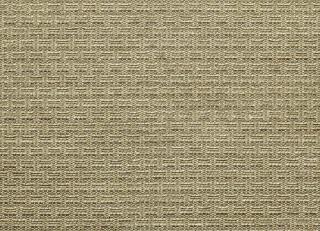 Фото - Ткани Dedar Twist Again - 422205>