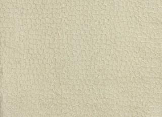 Фото - Ткани Lizzo Inedit - 579548>