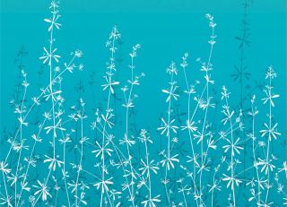 Фото - Обои Harlequin Callista Wallpapers - 301318>