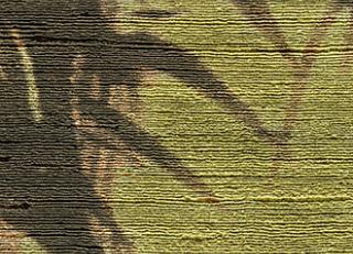 Фото - Обои Elitis Talamone - 378051>