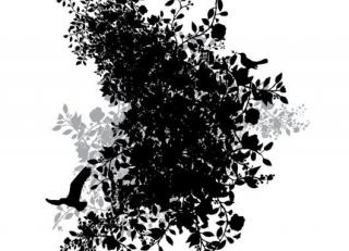 Фото - Обои Mr Perswall Urban Nature - 235248>