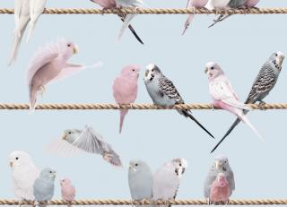 Фото - Обои Koziel Kids & teenagers - 323849>