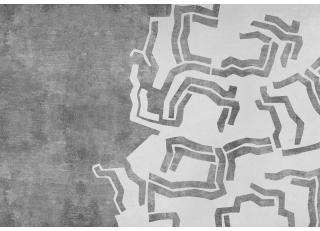 Фото - Обои Coordonne Lur - 580828>