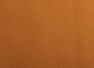 Фото - Ткани Alessandro Bini Jazz - 611256>