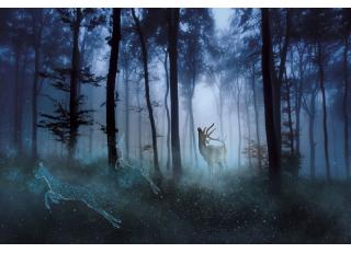 Фото - Обои Ortograf Mirage - 477158>