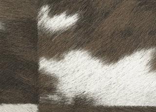 Фото - Обои Elitis Sauvages - 605247>