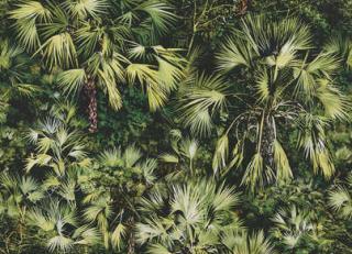 Фото - Ткани Pierre Frey Maoming - 323950>