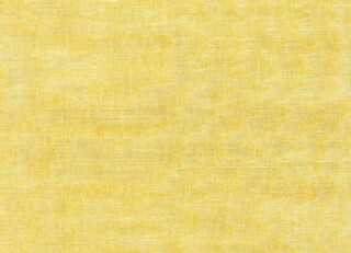 Фото - Обои Dedar Moire Chanvre - 626268>