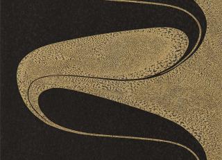 Фото - Обои Zoffany The Muse Wallcoverings - 366884>