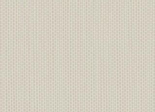 Фото - Обои Arte Contract Arundo - 629621>