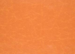 Фото - Ткани Designers Guild Arizona - 281877>