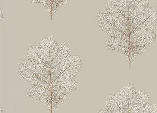 Фото - Обои Sanderson Woodland Walk - 247937>