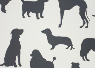 Фото - Обои Osborne & Little Wallpaper Album 7 - 353225>