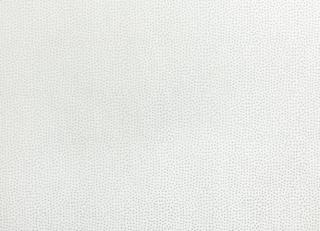 Фото - Ткани Villa Nova Loess Satins - 472301>